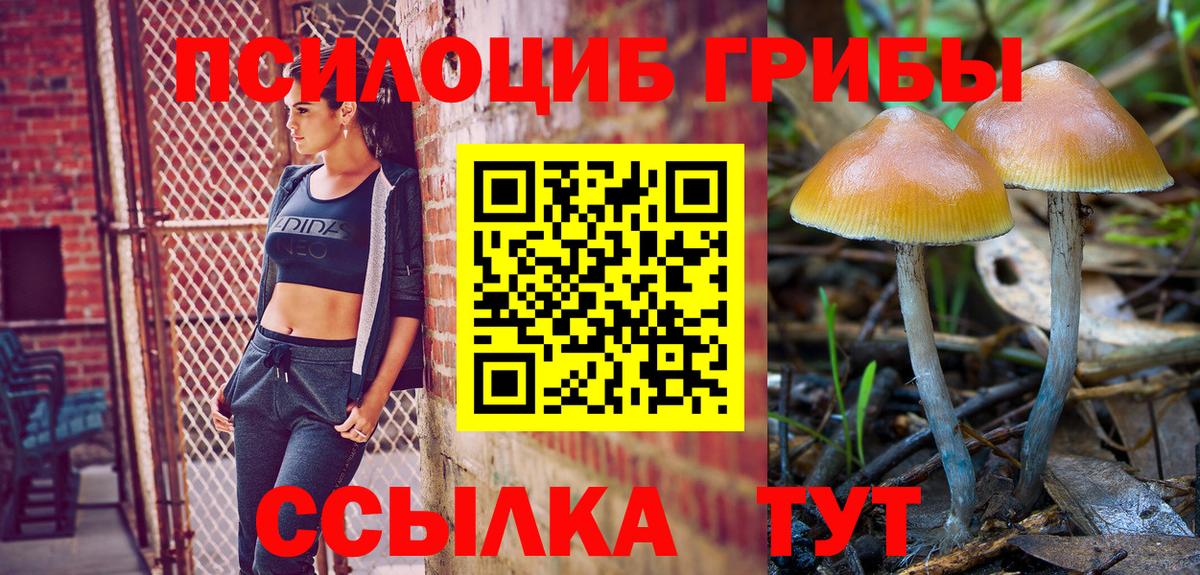 Галлюциногенные грибы MAGIC MUSHROOMS  Галлюциногенные грибы MAGIC MUSHROOMS  Курчатов  закладки  Вход с VPN 